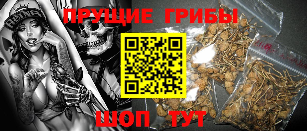 Галлюциногенные грибы Magic Shrooms Грозный