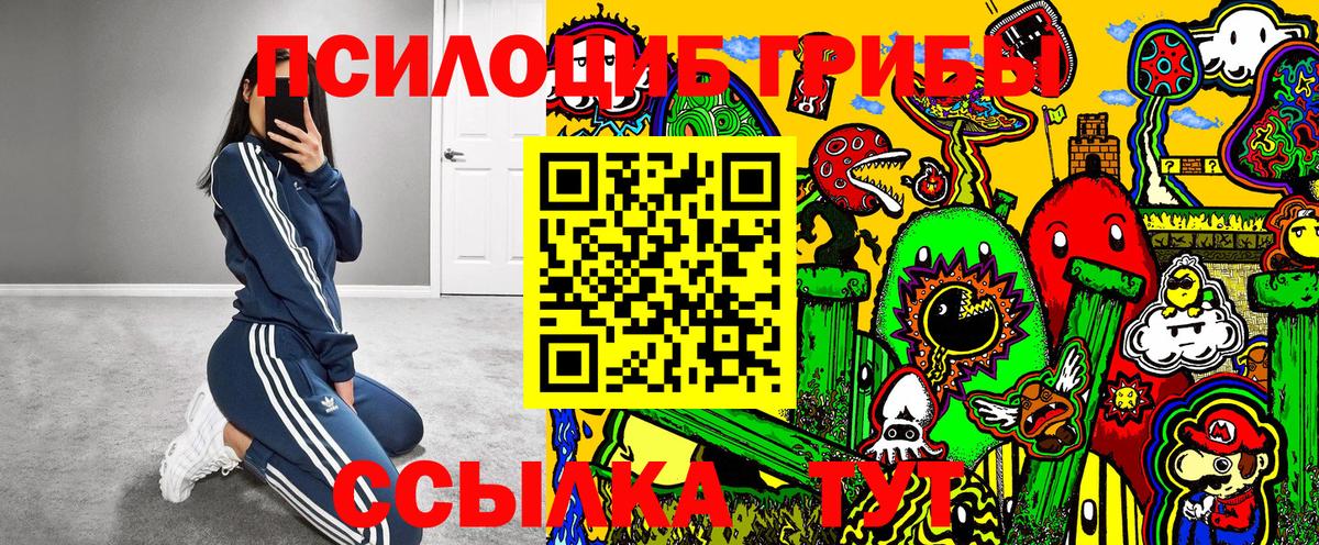 закладка  Псилоцибиновые грибы Cubensis  Вход с VPN  Грозный  Галлюциногенные грибы Psilocybe 